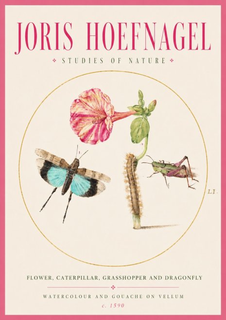 Joris Hoefnagel Plate L1. Studies of Insects and Plants No3 - Poster