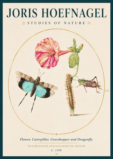 Joris Hoefnagel Plate L1. Studies of Insects and Plants No4 - Poster
