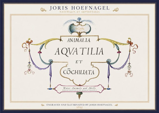 Joris Hoefnagel Animalia Aquatilia Et Cochiliata No1 - Poster
