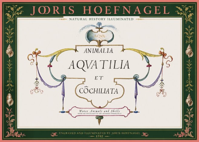 Joris Hoefnagel Animalia Aquatilia Et Cochiliata No2 - Poster