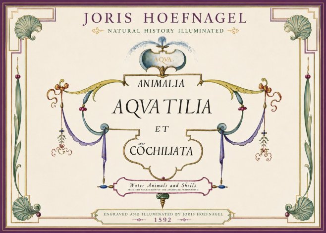 Joris Hoefnagel Animalia Aquatilia Et Cochiliata No4 - Poster