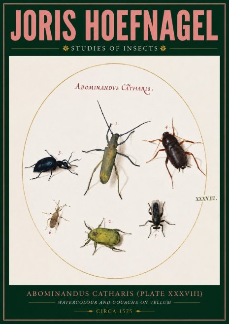 Joris Hoefnagel Abominandus Catharis (Plate Xxxviii) No2 - Poster