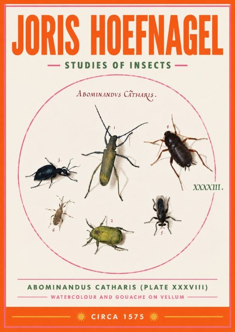 Joris Hoefnagel Abominandus Catharis (Plate Xxxviii) No3 - Poster