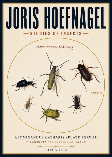 Joris Hoefnagel Abominandus Catharis (Plate Xxxviii) No4 - Poster
