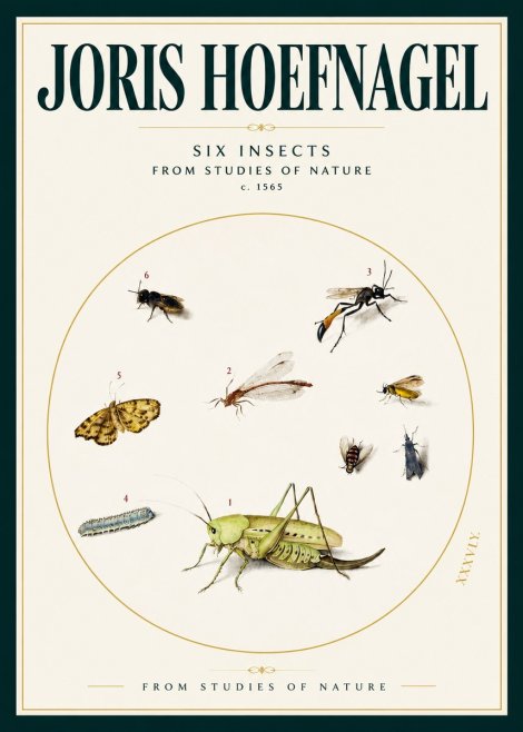 Joris Hoefnagel Six Insects from Studies of Nature C. 1565 No2 - Poster