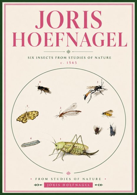 Joris Hoefnagel Six Insects from Studies of Nature C. 1565 No5 - Poster