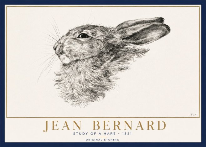 Jean Bernard Study of a Hare No3 - Poster