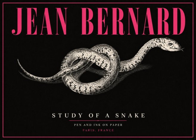 Jean Bernard Study of a Snake No5 - Poster
