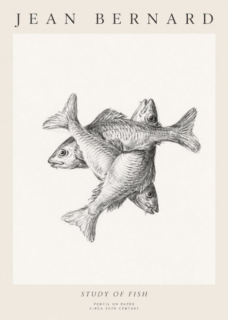 Jean Bernard Study of Fish No1 - Poster