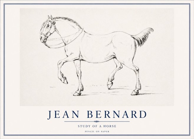 Jean Bernard Study of a Horse XVI No3 - Poster