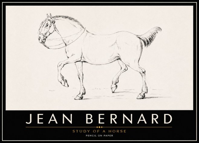 Jean Bernard Study of a Horse XVI No6 - Poster