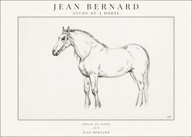 Jean Bernard Study of a Horse XVII No1 - Poster