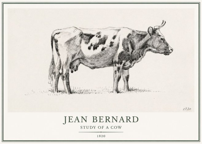 Jean Bernard Study of a Cow XX No1 - Poster