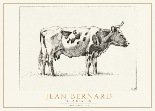 Jean Bernard Study of a Cow XX No2 - Poster