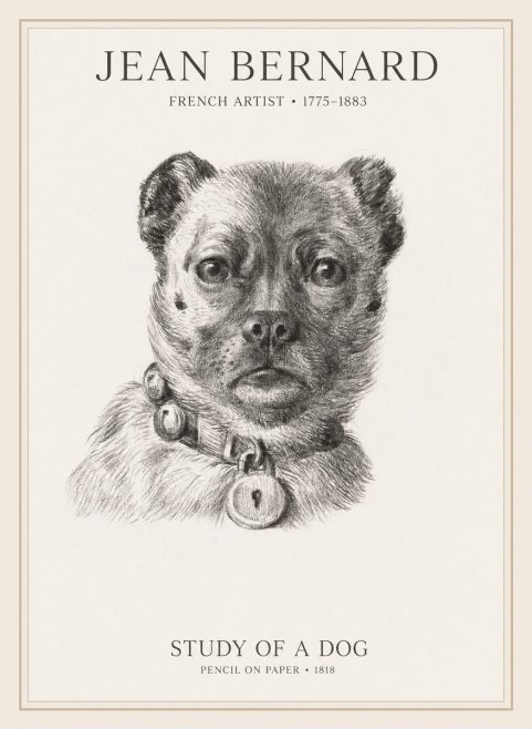 Jean Bernard Study of a Dog IV No1 - Poster