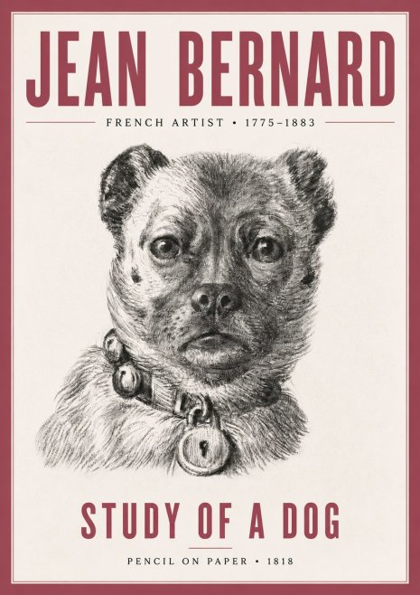 Jean Bernard Study of a Dog IV No5 - Poster