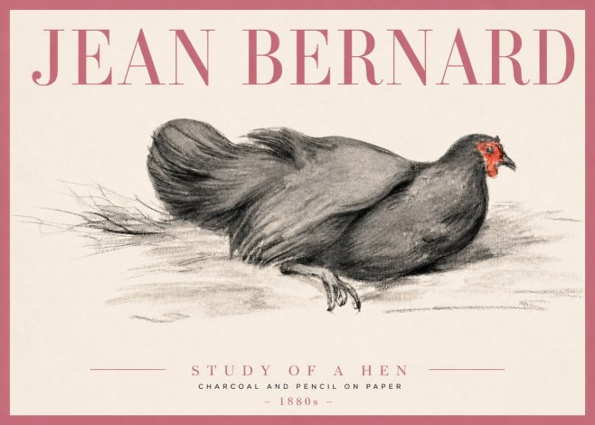 Jean Bernard Study of a Hen No3 - Poster