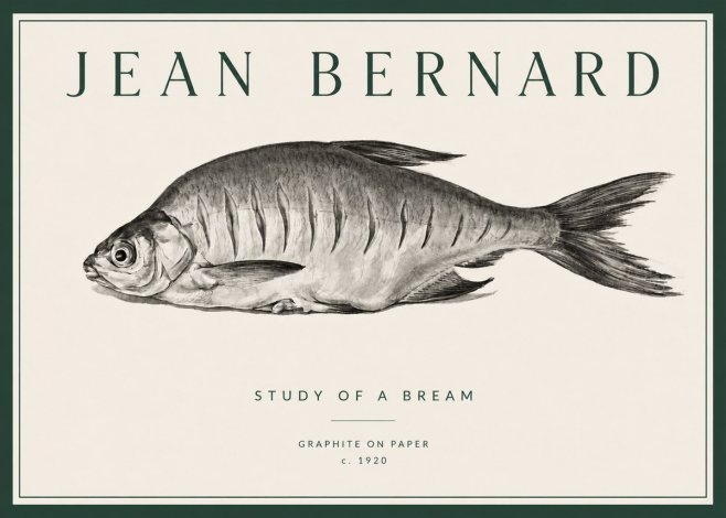 Jean Bernard Study of a Bream No3 - Poster