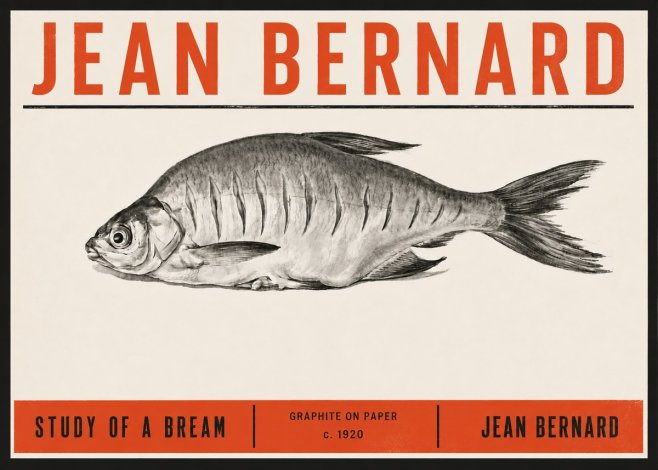 Jean Bernard Study of a Bream No6 - Poster