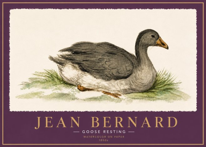 Jean Bernard Goose Resting No6 - Poster