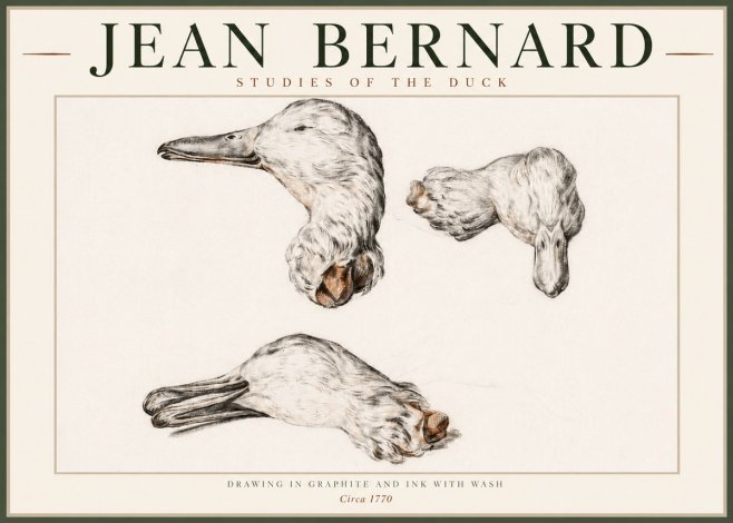 Jean Bernard Studies of the Duck No4 - Poster