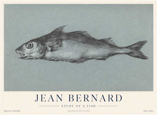 Jean Bernard Fish Study I No4 - Poster