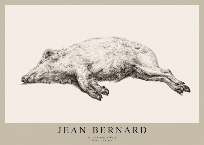 Jean Bernard Wild Boar Study No1 - Poster