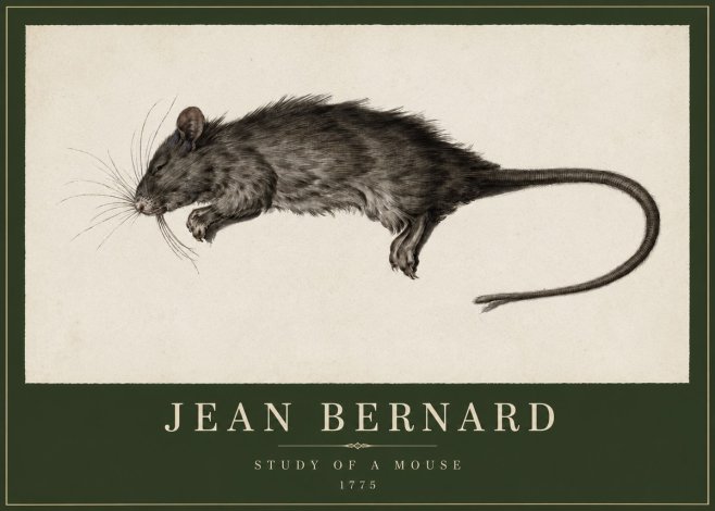 Jean Bernard Study of a Mouse II No2 - Poster