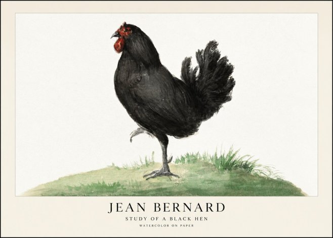 Jean Bernard Study of a Black Hen No1 - Poster