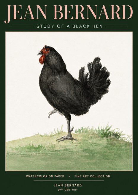 Jean Bernard Study of a Black Hen No3 - Poster