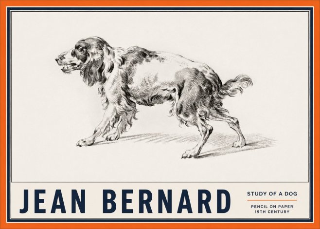 Jean Bernard Study of a Dog V No2 - Poster