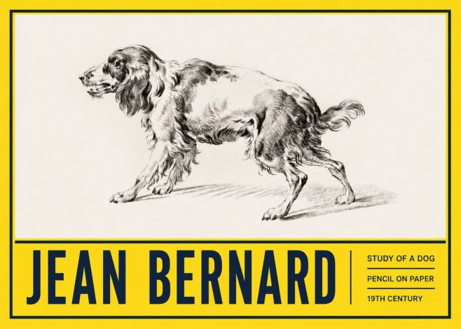 Jean Bernard Study of a Dog V No5 - Poster
