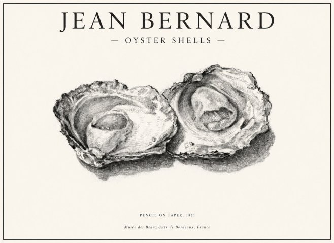 Jean Bernard Study of Oyster Shells No6 - Poster