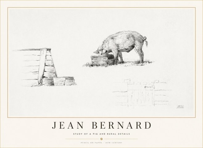 Jean Bernard Pig Study No2 - Poster