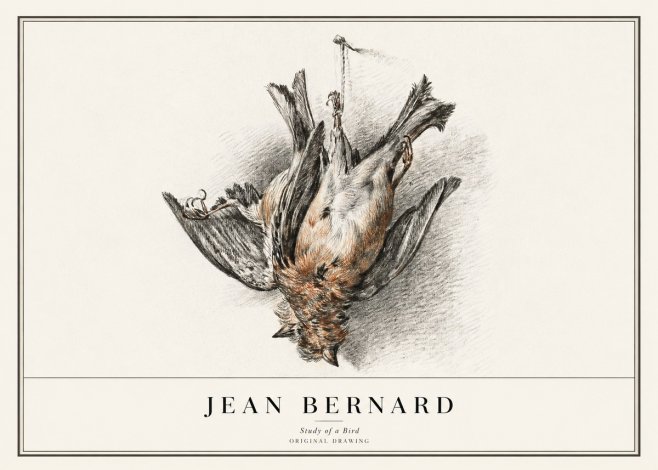 Jean Bernard Study of a Bird IV No1 - Poster