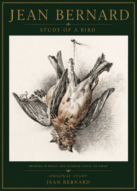 Jean Bernard Study of a Bird IV No5 - Poster
