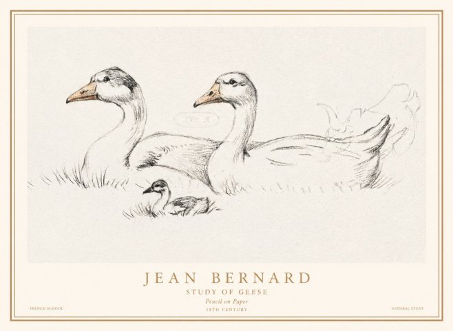 Jean Bernard Study of Geese No1 - Poster