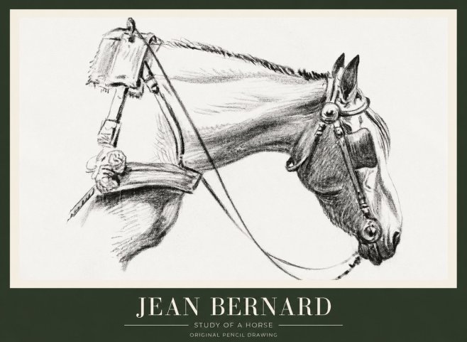 Jean Bernard Study of a Horse XVIII No1 - Poster