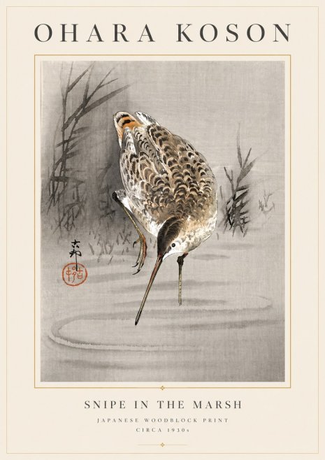 Ohara Koson Snipe in the Marsh No6 - Poster