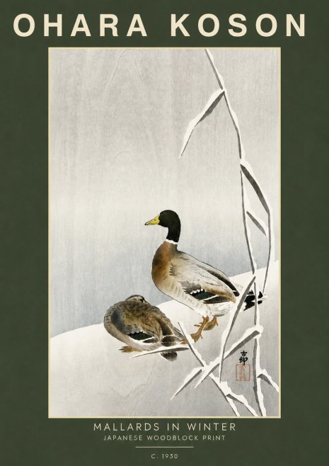 Ohara Koson Mallards in Winter No5 - Poster
