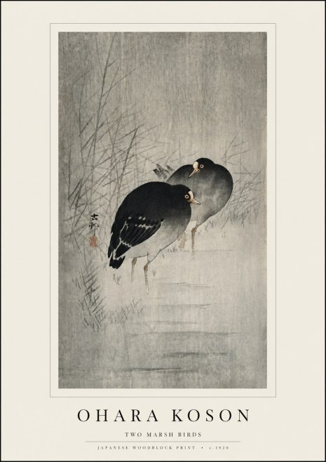 Ohara Koson Two Marsh Birds No3 - Poster