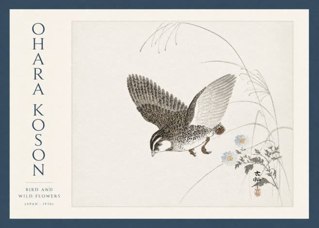 Ohara Koson Bird and Wild Flowers No3 - Poster