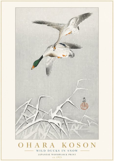 Ohara Koson Wild Ducks in Snow No3 - Poster