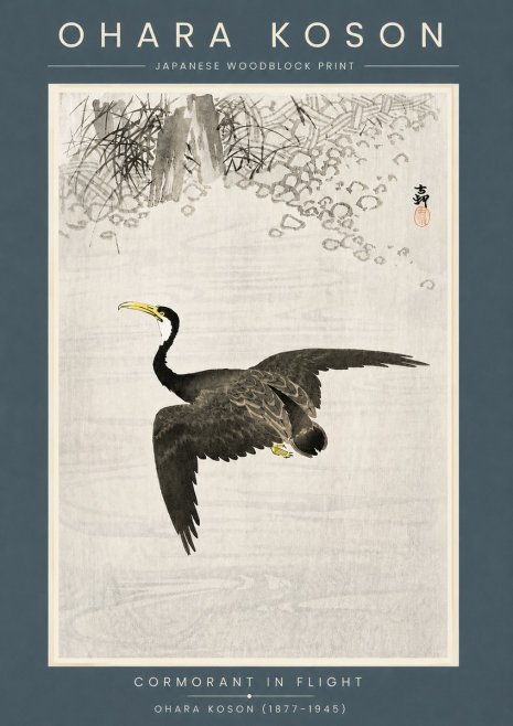 Ohara Koson Cormorant in Flight No6 - Poster