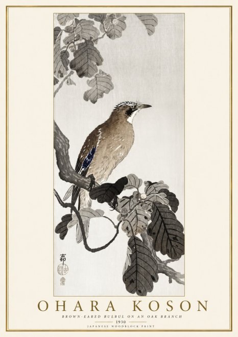 Ohara Koson Brown-eared Bulbul on an Oak Branch No1 - Poster