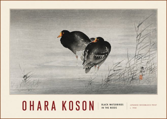 Ohara Koson Black Waterbirds in the Reeds No3 - Poster