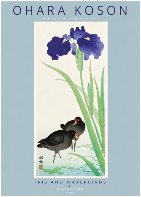Ohara Koson Iris and Waterbirds No2 - Poster