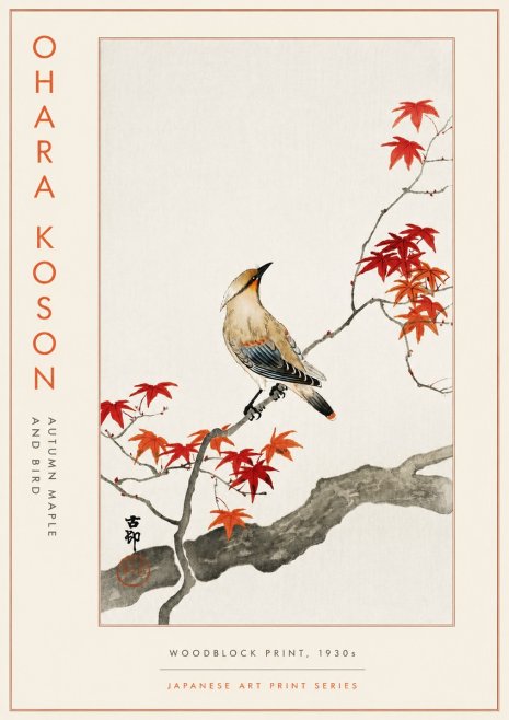 Ohara Koson Autumn Maple and Bird No5 - Poster