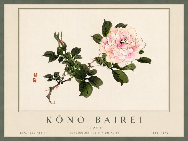 Kōno Bairei Peony I No4 - Poster