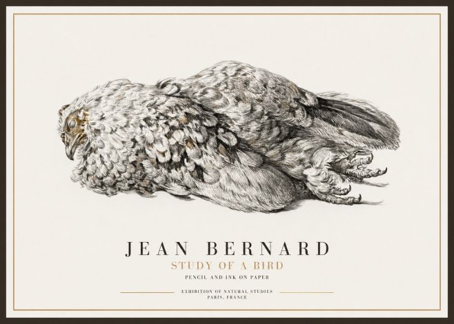 Jean Bernard Study of a Bird I No1 - Poster